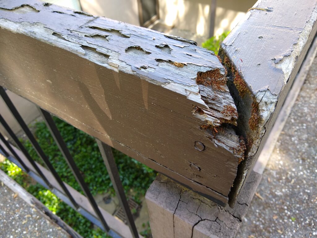 railing with obvious dry rot